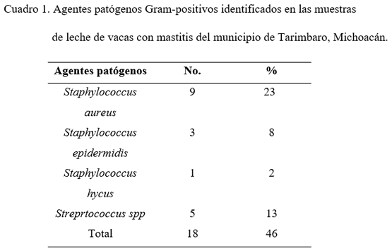 Etiología de la mastitis en ganado lechero - Image 1