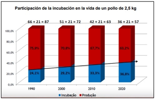 Puntos críticos a auditar en una planta de incubación para maximizar los nacimientos y la calidad de los pollitos - Image 1