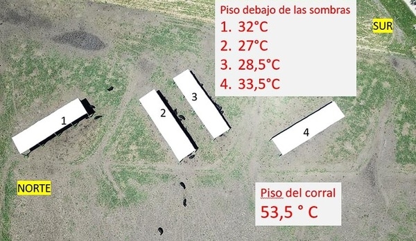Manejo del ambiente físico para atenuar la producción de calor - Image 1