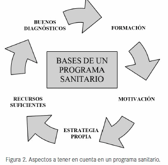 Programas sanitarios en tiempos de crisis - Image 2