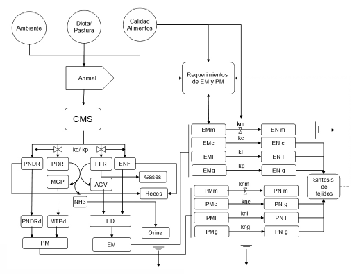 Modelo conceptual mostrando las principales variables, procesos e interacciones propuestos para la predicción de la performance de vacunos. 