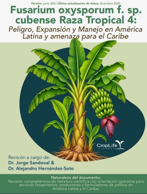 Fusarium Raza Tropical 4 en América Latina y el Caribe - Image 9
