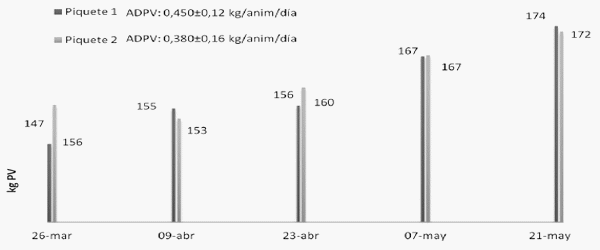 Suplementación con urea protegida (Nitrum24) en recría con diferentes fuentes de fibra - Experimentación adaptativa - Image 6