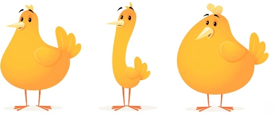 Uniformidad de canal del pollo de engorde - Image 1