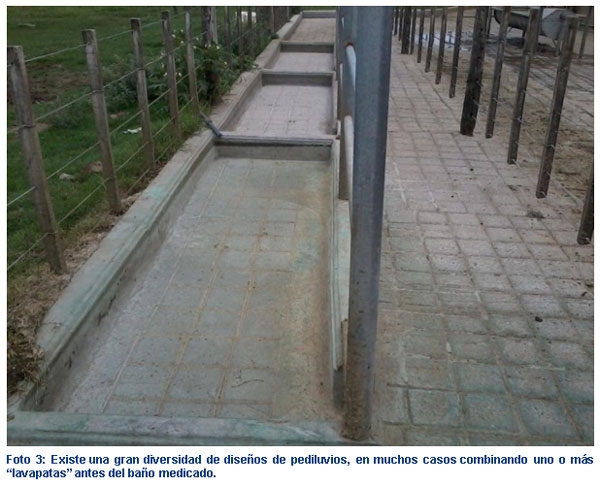 Afecciones Podales - Capítulo 4 “Uso correcto del pediluvio e higiene ambiental” - Image 3