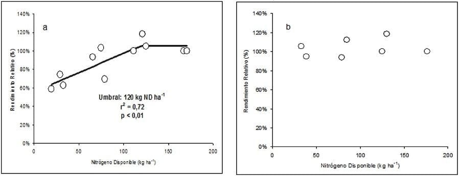 Rendimiento y ajuste de la fertilización nitrogenada del trigo según antecesores - Image 2