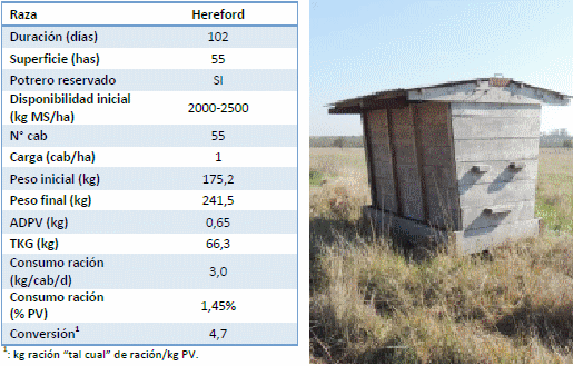 Recría en monte natural del norte de Entre Ríos con suplementación en comederos autoconsumo - Image 2