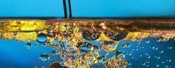 Ventajas del uso aditivos emulsificantes para las grasas en la dieta animal y su efecto en la digestibilidad - Image 1