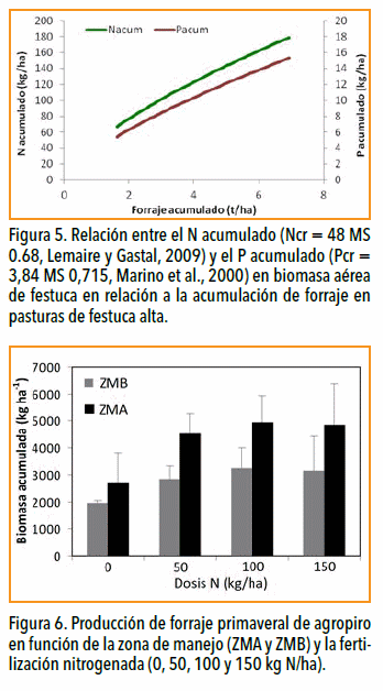 Vuelven las pasturas: Manejo y fertilización para nuevos modelos ganaderos - Image 7