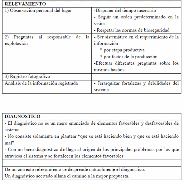 Gestión integral de la empresa porcina. Condición esencial para permanecer en sector - Image 2