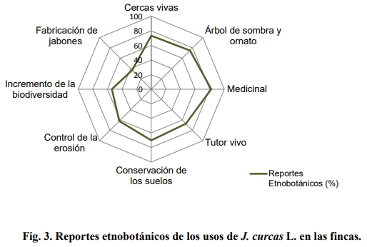 Jatropha curcas (L.), una especie con potencialidades para la salud animal en el trópico - Image 7