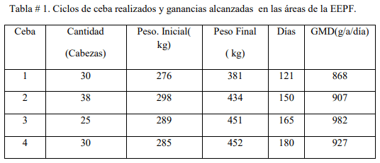 Los pastos y forrajes, alimentos decisivos para la producción eficiente de carne bovina - Image 1