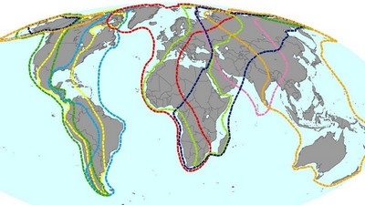 El Desafío más Peligroso en la Industria Avícola Mundial - Image 4