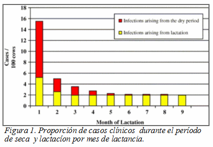 La importancia de la terapia de secado - Image 1