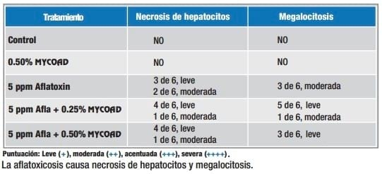 Eficacia de Mycoad en la reducción de los efectos tóxicos de la aflatoxina en tilapias - Image 4
