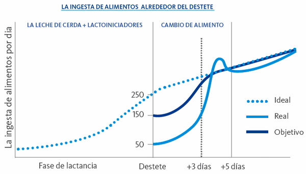 ¡Los lechones no nacen “Comilones”! - Image 2