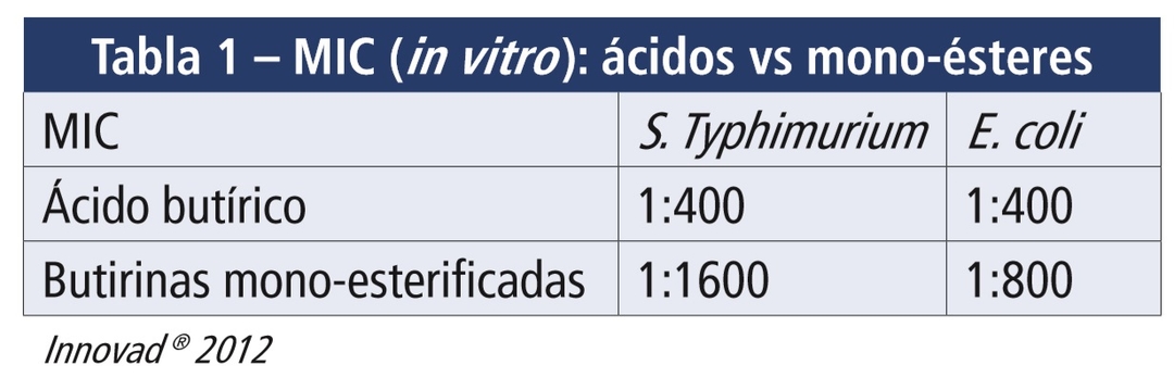 Destetar lechones sin usar antibióticos - Image 2