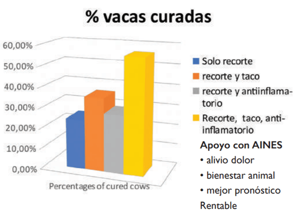 HORIZONTE - EVOLUCIÓN DE LOS CUIDADOS DE PEZUÑAS - Image 4
