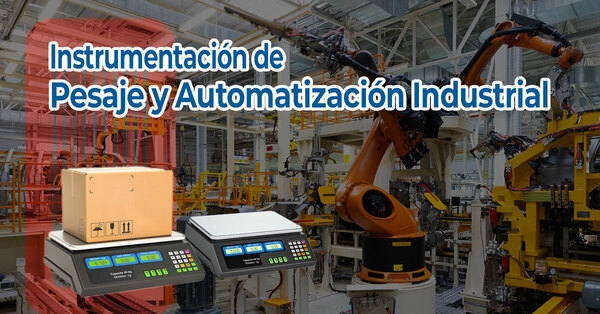 Instrumentación de pesaje y automatización industrial: claves para maximizar rentabilidad en plantas agroindustriales y pecuarias - Image 1