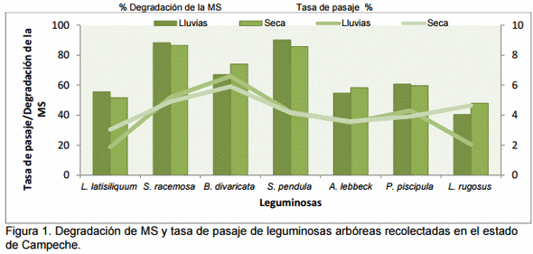 Especies nativas de leguminosas para la alimentación del ganado en zonas tropicales - Image 2