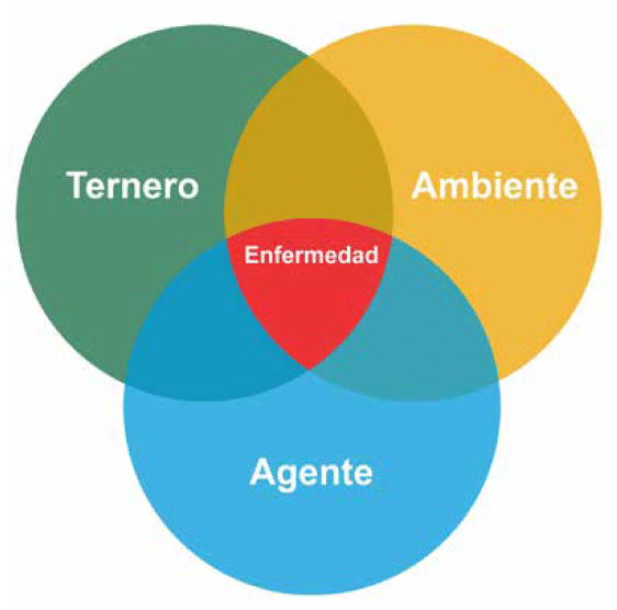 La contaminación del alimento con materia fecal es una de las causas que puede producir diarrea