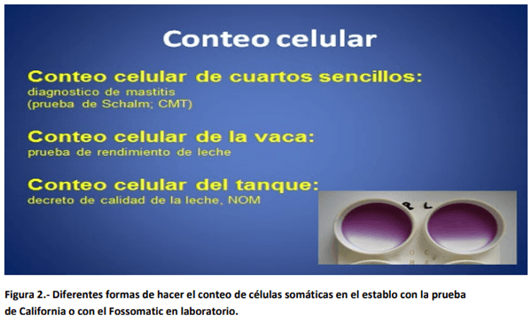 Factores que influyen sobre la salud de la ubre. - Image 3