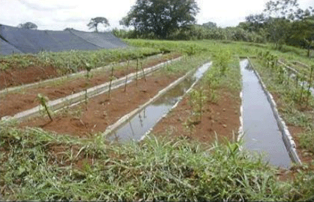 Canaletas de sedimentación.