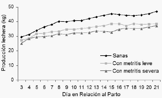 Identificación de Vacas en Transición en Riesgo y la Mejor Forma de Manejarlas - Image 2