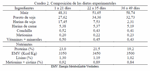 Calidad Nutricional de Maíz Almacenado en Bolsa Plástica - Image 2