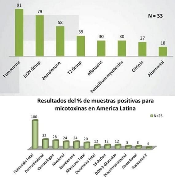 Manejo de Micotoxinas - Image 4