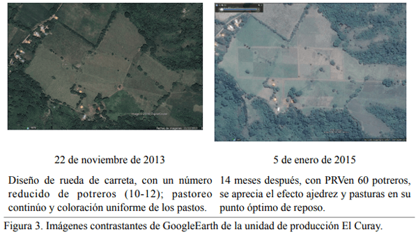 Pastoreo Racional Voisin con dosis única de emulsión asfáltica y roca fosfórica en suelos ácidos de baja fertilidad natural - Image 3
