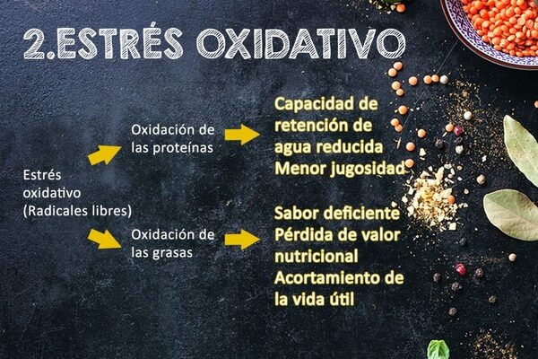 ¿Cómo afecta el estrés térmico a la calidad de la carne de pollo? - Image 3