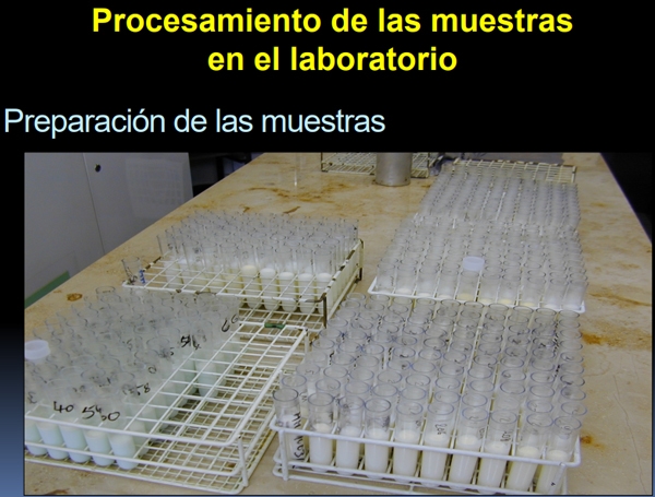 Pruebas para el diagnóstico de la mastitis bovina - Image 22