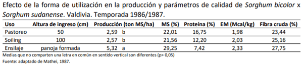 Manual Cultivo del Sorgo Forrajero - Pastoreo y soiling de verano - Image 4