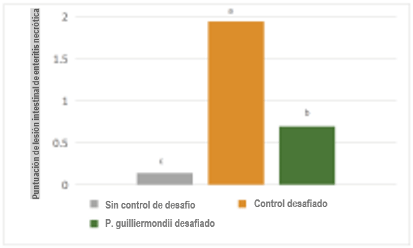 Figura 1. Puntuaciones de lesión de enteritis necrótica en cada grupo el día 21.