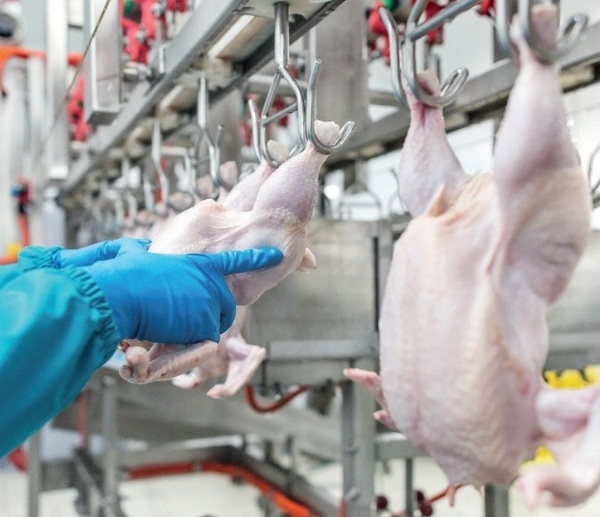 CMK y la vision hacia la inocuidad alimentaria y las bacterias multirresistentes - Image 1