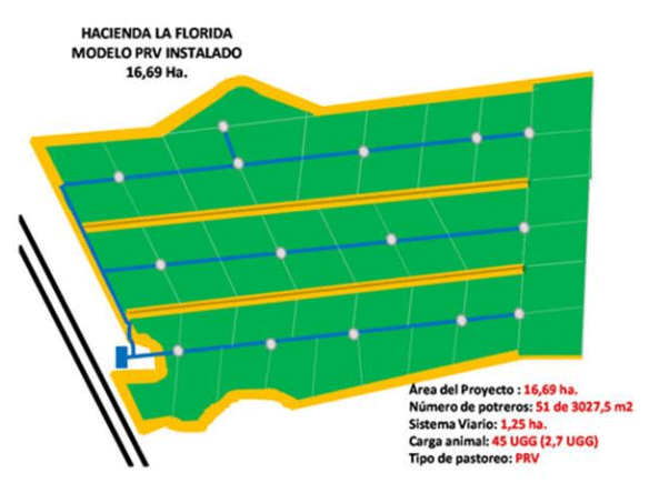 BOTERO - CAPÍTULO IX PASTOREO RACIONAL INTENSIVO VOISIN UNA OPCIÓN PARA INTENSIFICAR Y HACER MÁS AMIGABLE CON EL AMBIENTE LA PRODUCCIÓN CON RUMIANTES EN PASTOREO EN EL TRÓPICO - Image 18