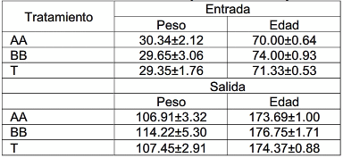 Estudio del efecto de niveles nutricionales sobre el crecimiento y engorde en cerdos - Image 1