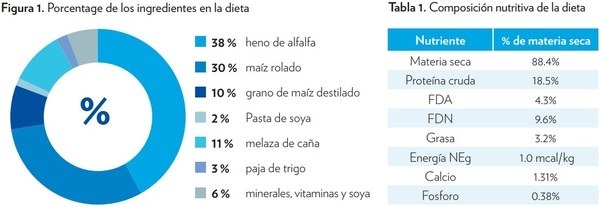 VITAMINAS B PROTEGIDAS PARA GANADO DE CARNE DESEMPEÑO EN EL PERIODO DE RECEPCIÓN - Image 1