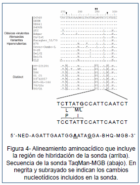 Desarrollo de un ensayo de PCR en tiempo real para la detección de un linaje distinto de IBDV (dIBDV) - Image 5