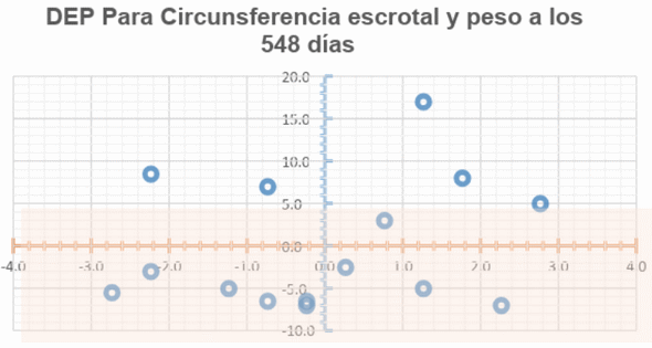 Procesos de selección en bovinos - Image 3