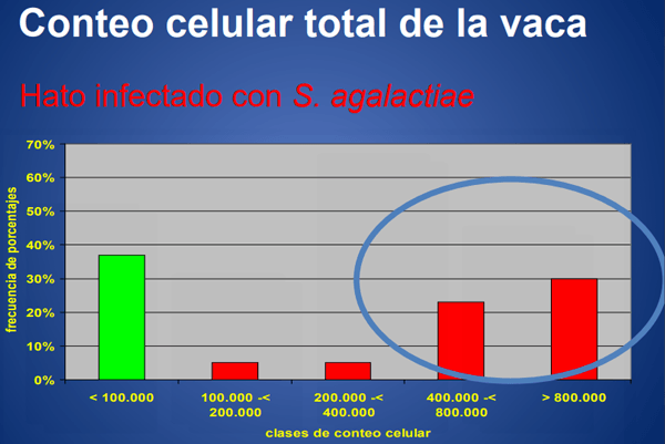 Mastitis - Introduccion, los factores que influyen en la salud de la ubre. - Image 25