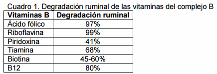 Las vitaminas B y sus ventajas en el desempeño del ganado de engorda - Image 1