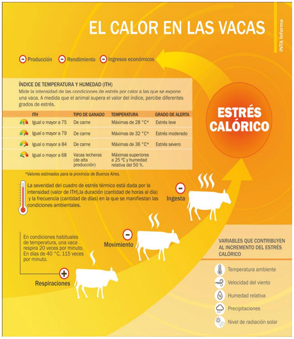 BOTERO - MANEJO DE LA VACA, DE LA BÚFALA Y DE SUS CRÍAS EN EL SISTEMA DE DOBLE PROPÓSITO EN AMÉRICA TROPICAL - Image 1