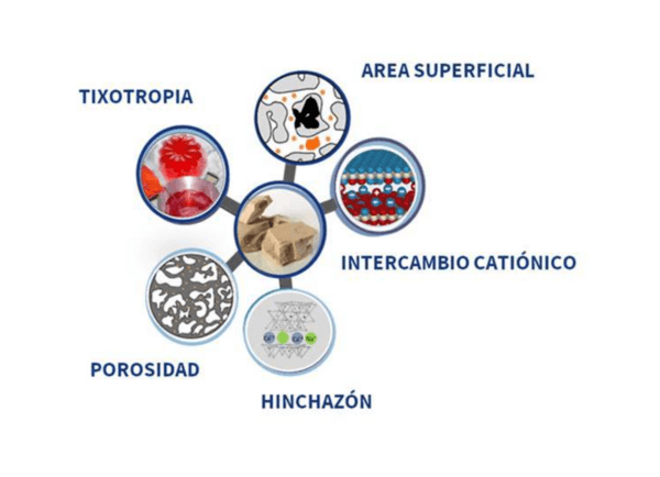MICOTOXINAS, UN VERDADERO PROBLEMA - Image 1
