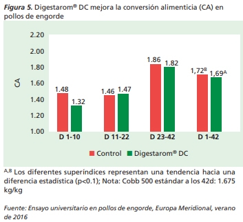Cómo lograr una conversión alimenticia de nueva generación - Image 5