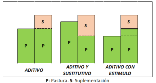 Suplementación estratégica. Mejorando la respuesta animal simplificando el manejo - Image 2