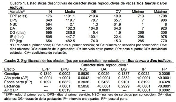 Comportamiento reproductivo de vacas cruzadas simmental-cebú y suizo pardo-cebú en clima tropical - Image 1