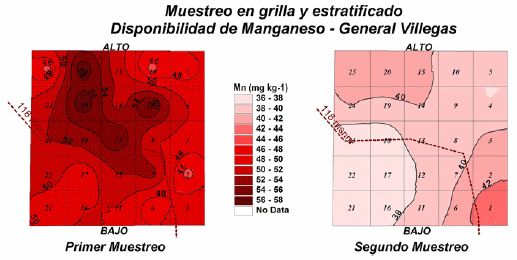 Variabilidad de nutrientes poco móviles en un suelo bajo siembra directa - Image 6