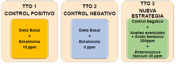 Evaluación del efecto de reemplazo en las dietas de pollo de engorde del promotor de crecimiento por una combinación de aceites esenciales* y ácido benzoico* con un probiótico (Enterococcus faecium SF68**) sobre el desempeño productivo y el rendimiento en canal - Image 2